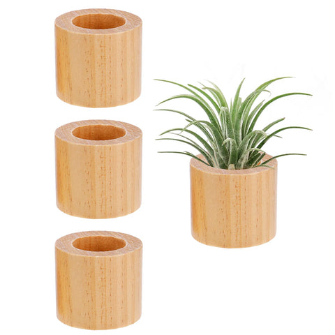 Bigmeta wood air plant holder on windowsill enhances natural light display