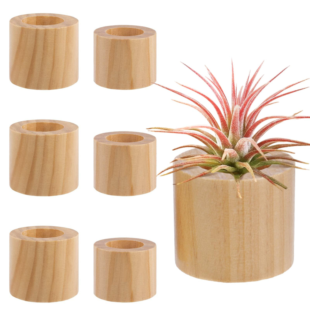 Bigmeta wood air plant holder angle view for compact decorative display
