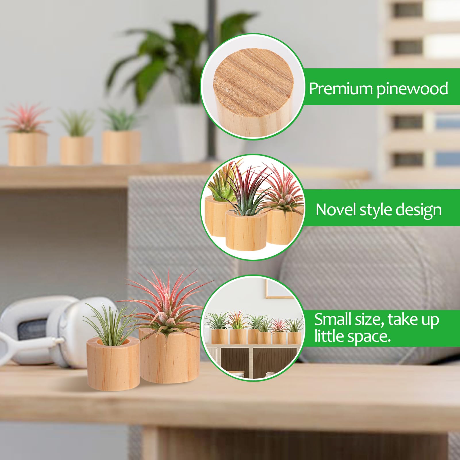 Bigmeta wood air plant holder collection on shelf emphasizes rustic charm