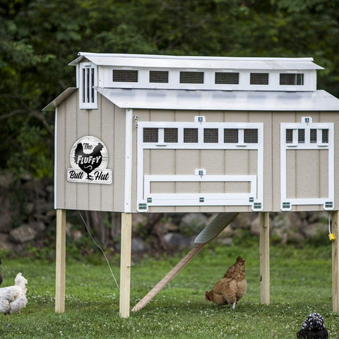Bigtime Signs Fluffy Butt Hut humorous chicken decor for coops