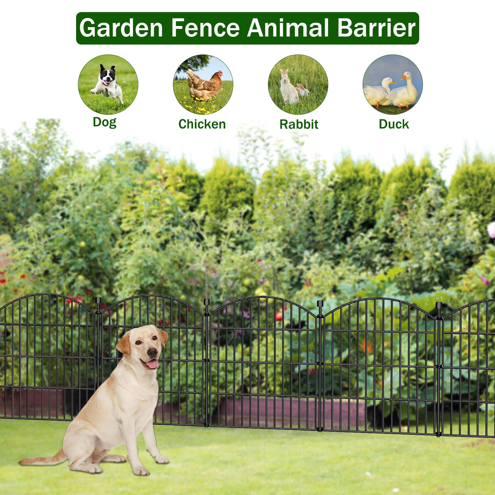 Bilibompa arch decorative border adds charm while protecting plants.