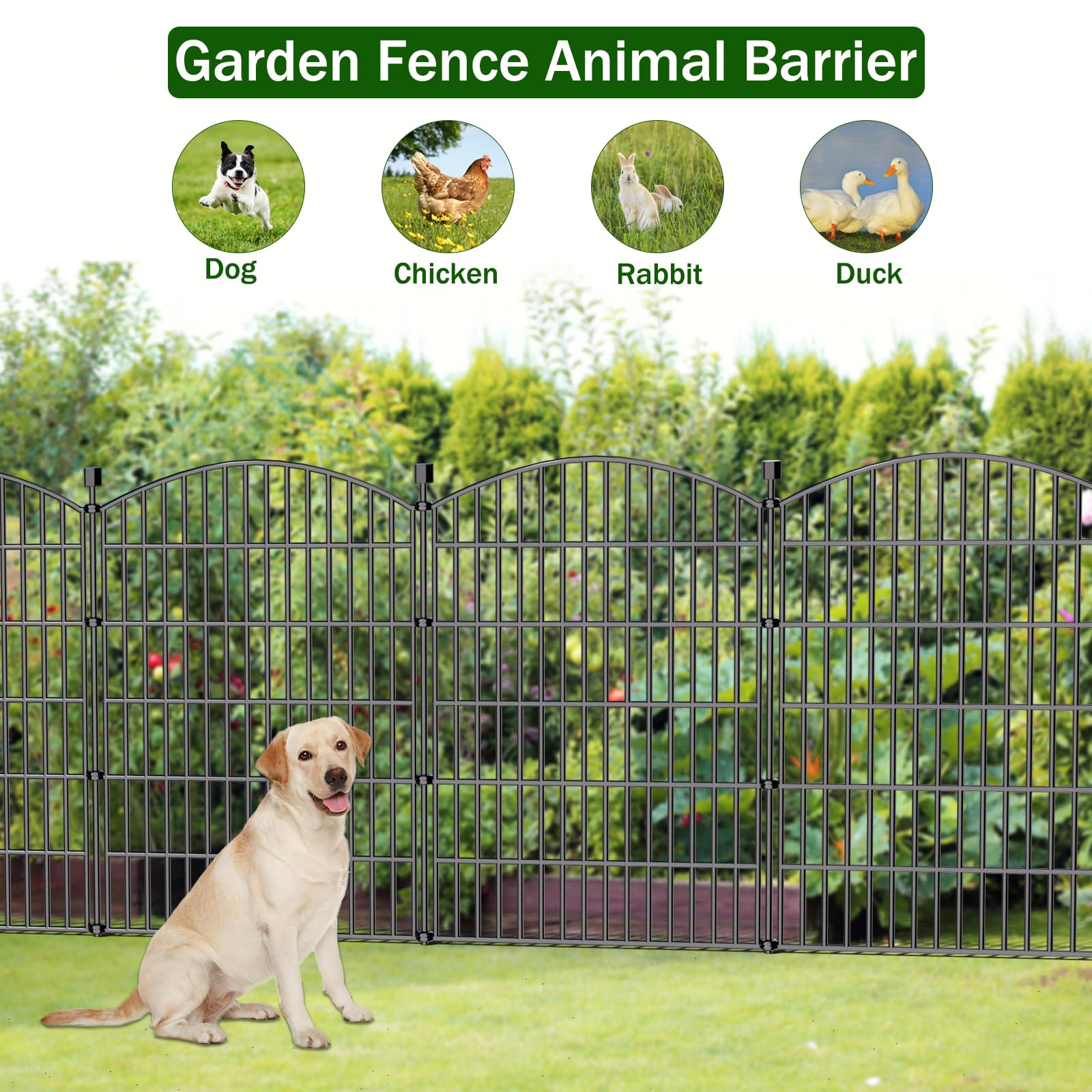 Bilibompa arched decorative design adds charm to garden borders.