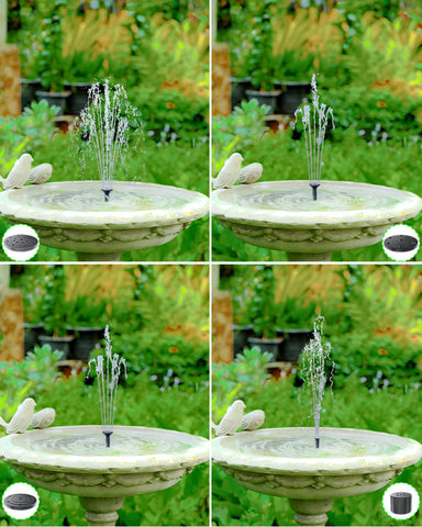 Biling bird bath spray attracts birds and enhances garden ambiance