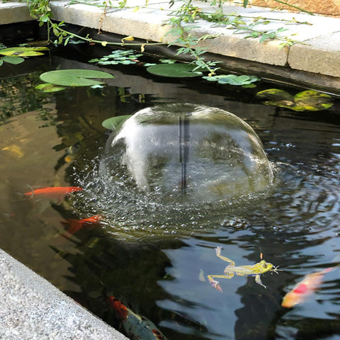 Biling pond ecosystem with fish-friendly filtration design