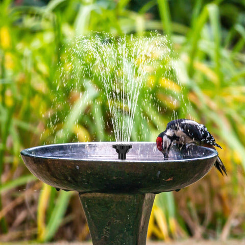 Biling pump with built-in filter keeps pond water clean