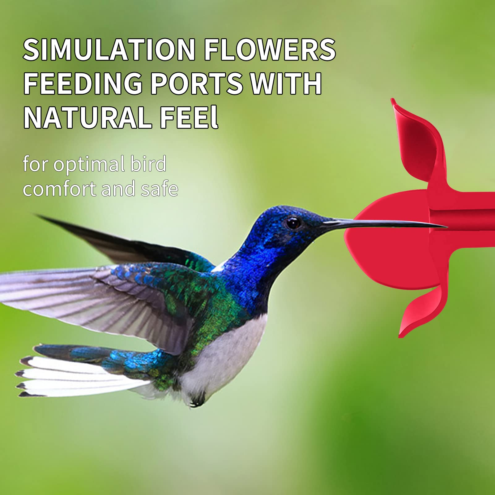 Billion Sky feeder removable perches simplify maintenance and cleaning.