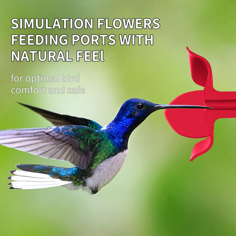 Billion Sky feeder removable perches simplify maintenance and cleaning.