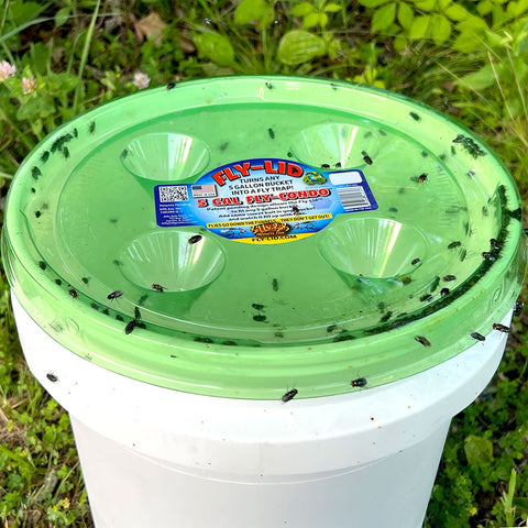 Securely attached Billy-Bob Fly-Lid provides reliable bucket trapping.
