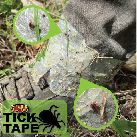 Billy-Bob Tick Tape at the shoe-pant junction to deter tick climbing