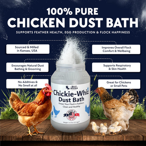 Chickie-Whiz dust bath close-up showing textured volcanic ash for healthy grooming