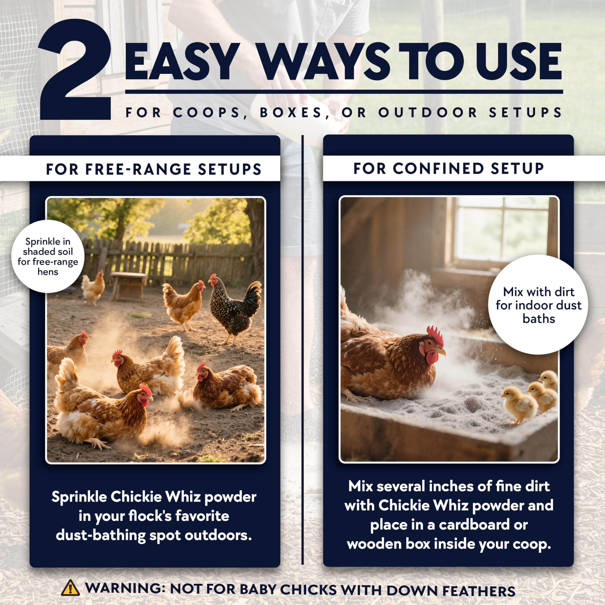 Chickie-Whiz dust bath in a coop dusting area supports clean feathers