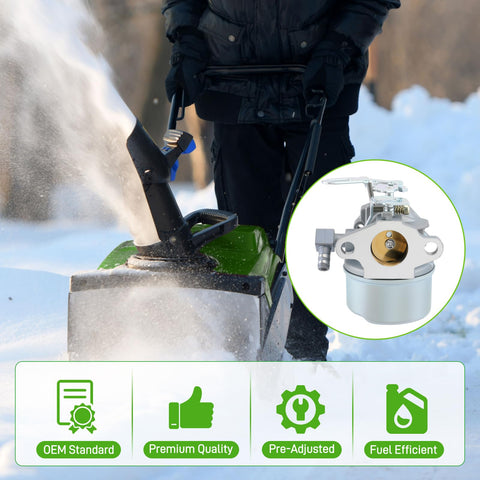 BioLion carburetor brand label image confirms authenticity and replacement reliability
