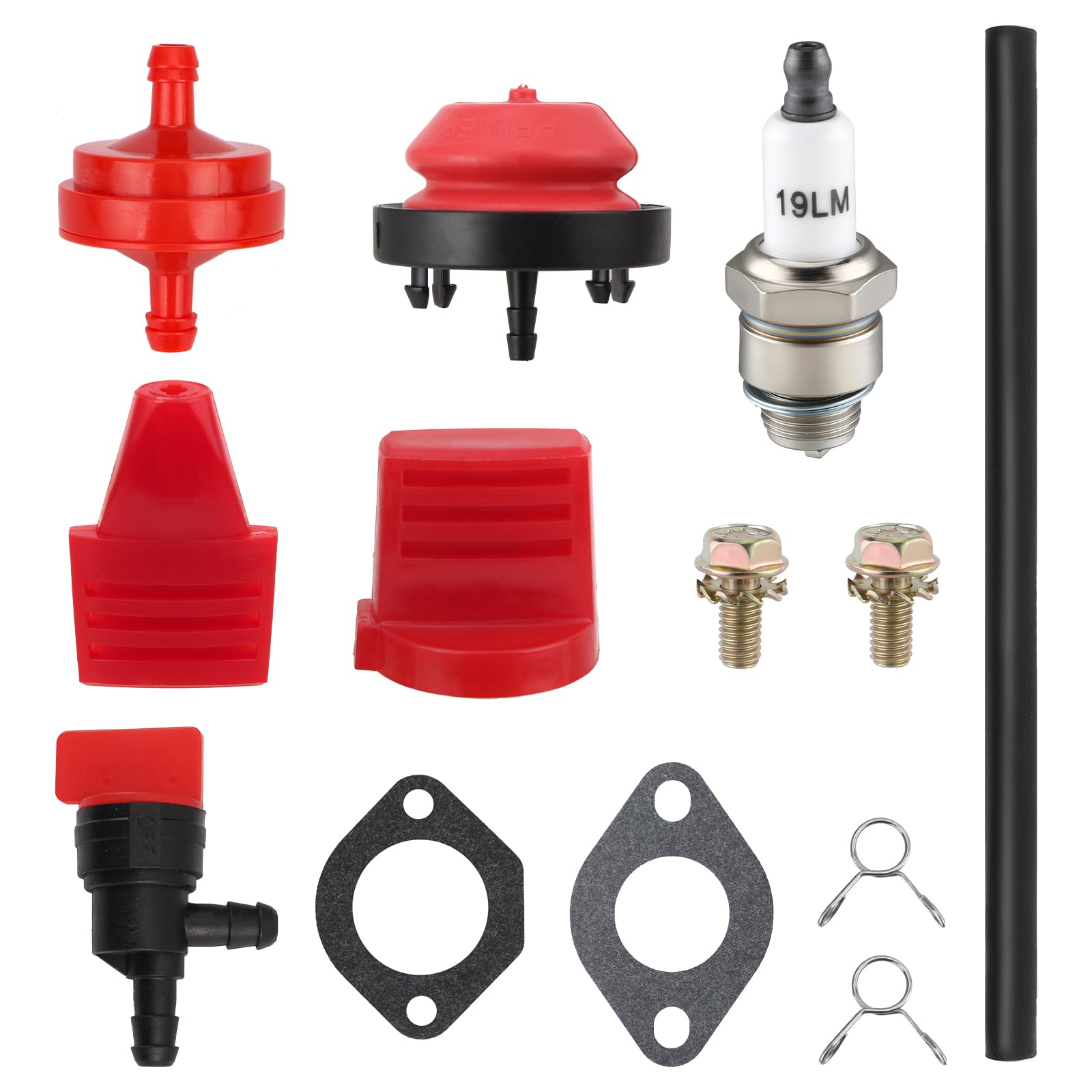 BioLion carburetor installed on engine shows practical replacement scenario