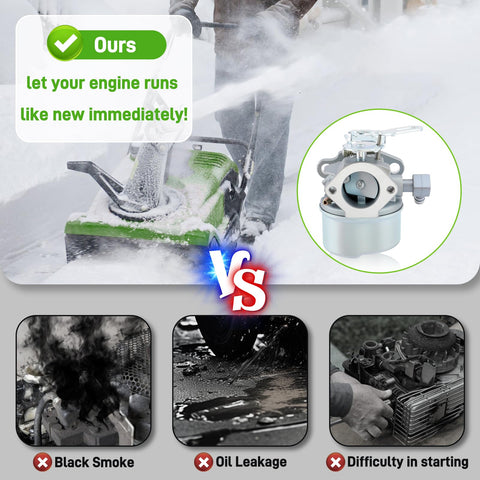BioLion carburetor packaging included image indicates ready-to-install kit