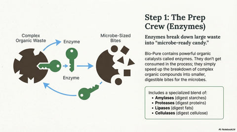 Bio Pure bio bloom activation indicates microbial startup in water.