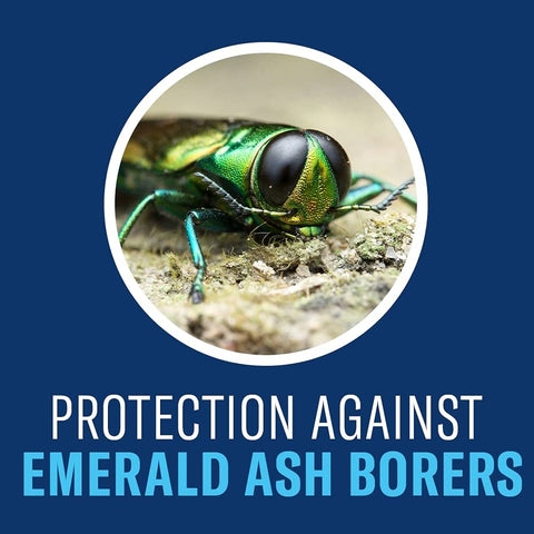 BioAdvanced 12 Month Tree Protect & Feed II application on a tree highlights tree health benefits.