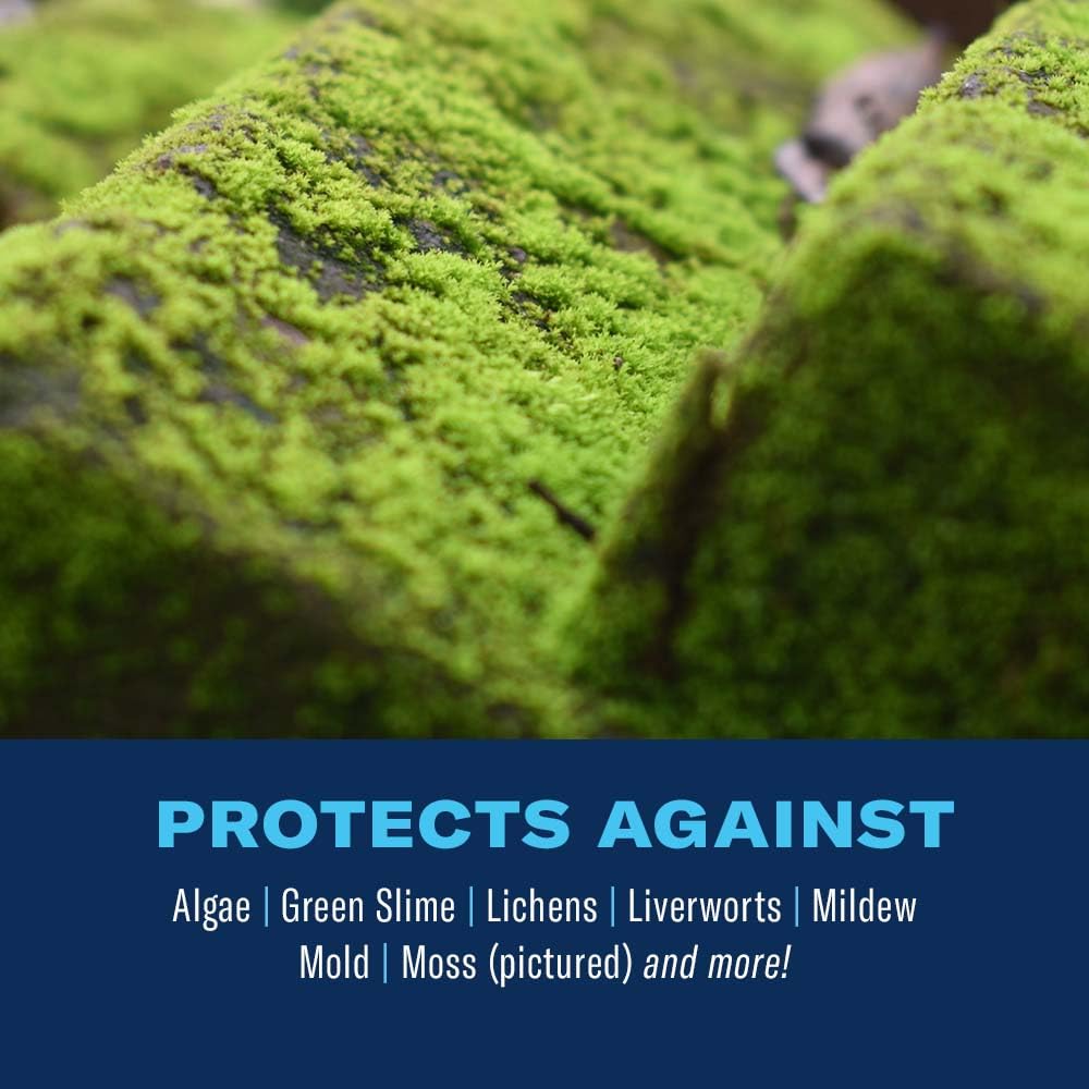 BioAdvanced 2-in-1 Moss & Algae Killer on patio; algae fading for a cleaner surface