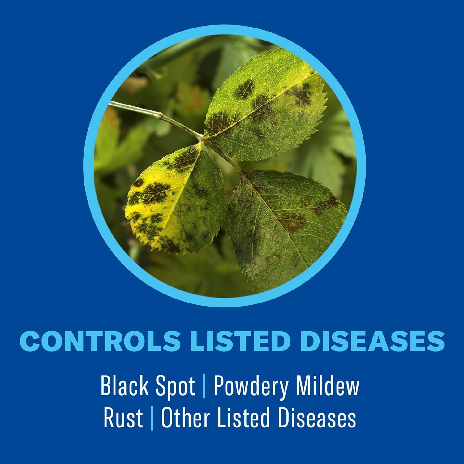 BioAdvanced 3-in-1 mist on foliage for flowering plants.