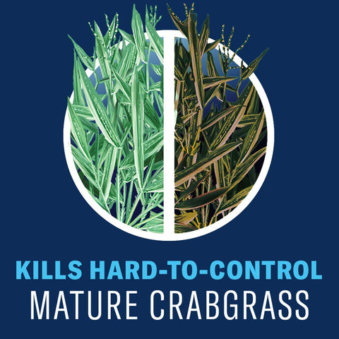 BioAdvanced All-In-One before-after lawn shows visible weed reduction.