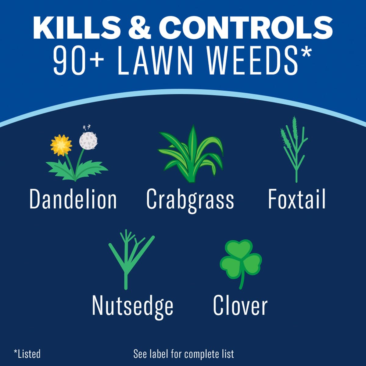 BioAdvanced All-In-One spray-nozzle demonstrates fast-acting weed suppression.