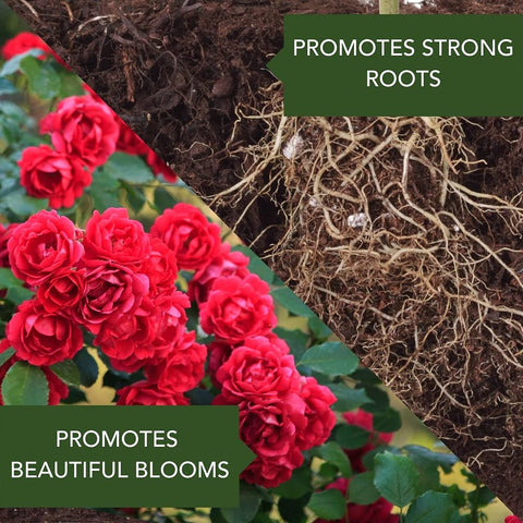 Close-up of BioAdvanced granules ready to feed blooming plants