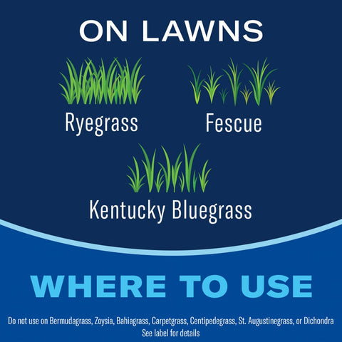 BioAdvanced All-In-One yellow-nutsedge close-up indicates broad weed coverage.