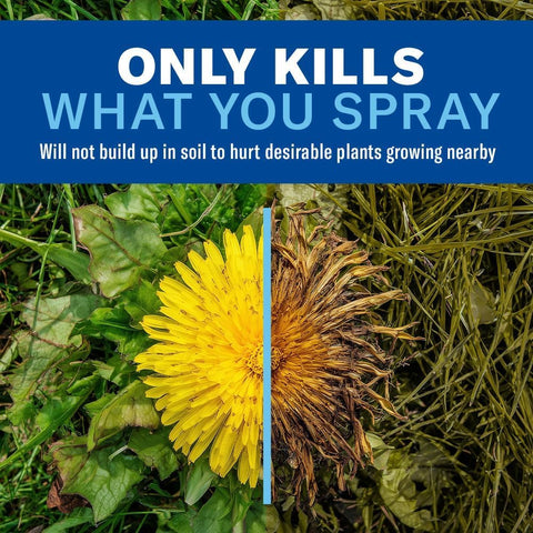 Application area around trees and shrubs with BioAdvanced weed killer spray.