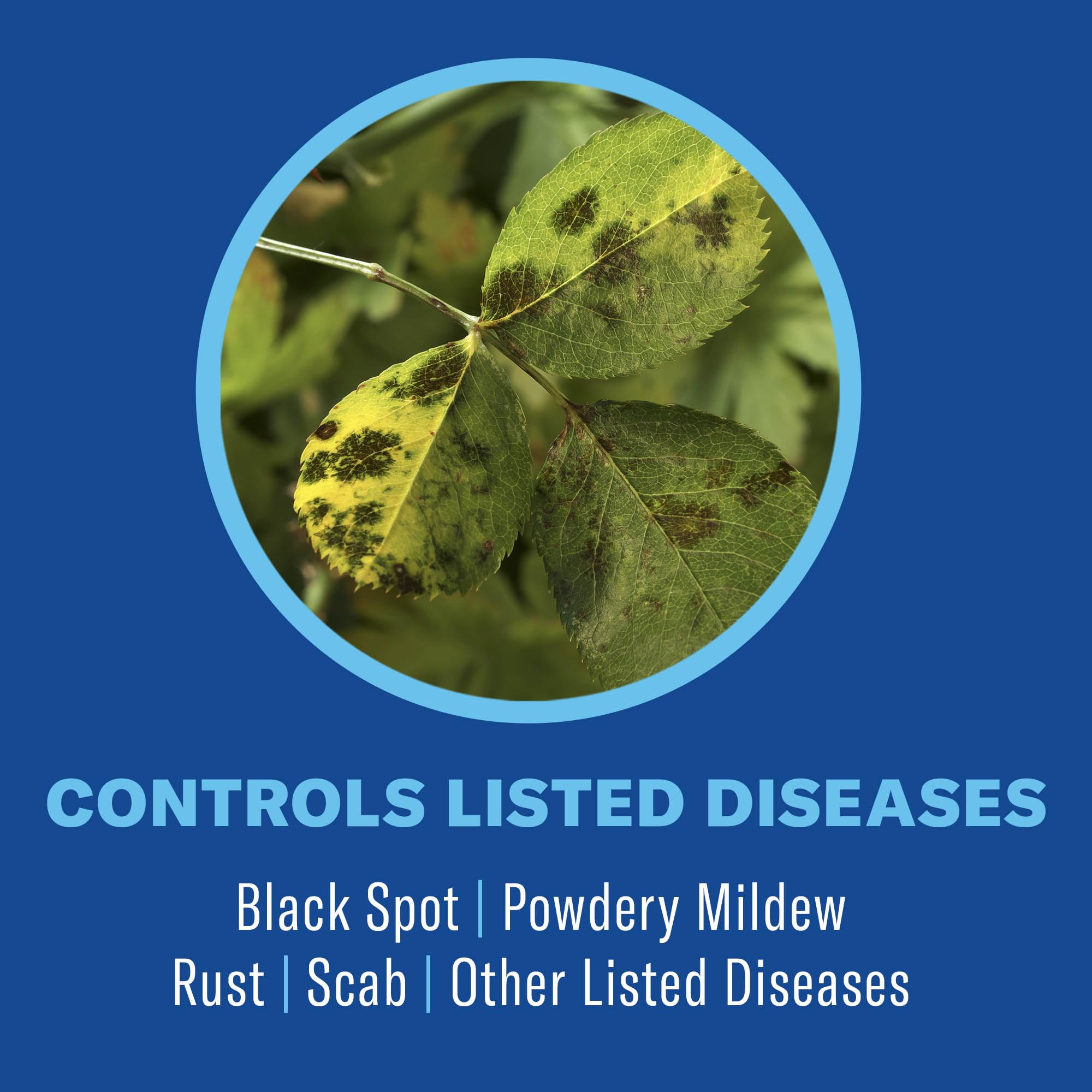 BioAdvanced bottle label highlights three-way action for plant protection and disease control.