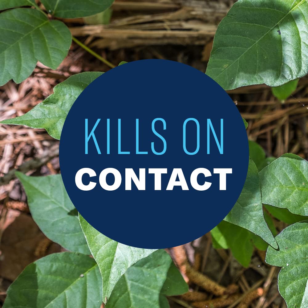 Coverage map showing up to 4,000 sq ft treated by BioAdvanced Brush Killer Plus.