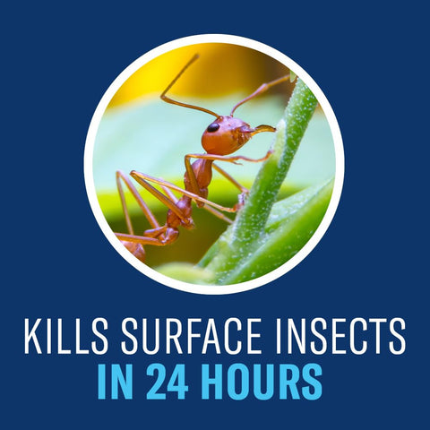 Storage and application around home perimeter with BioAdvanced insect killer.