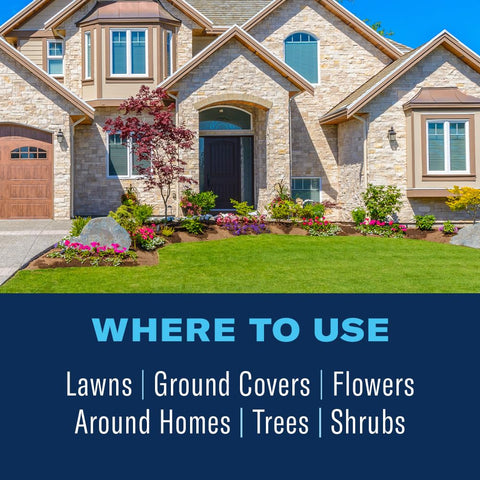 Lawn area after BioAdvanced treatment targeting pests like grubs and ants