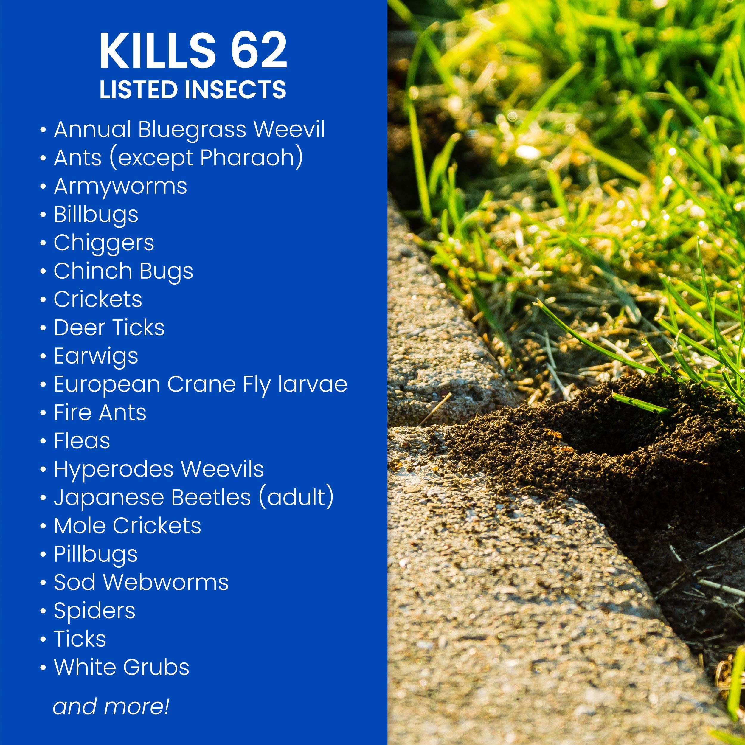 BioAdvanced Complete Insect Killer used for soil treatment to protect roots and turf