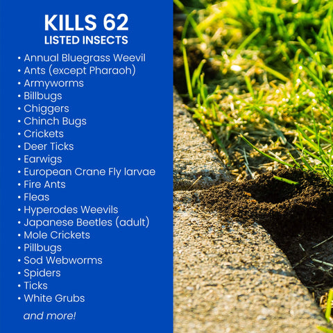 BioAdvanced Complete Insect Killer used for soil treatment to protect roots and turf