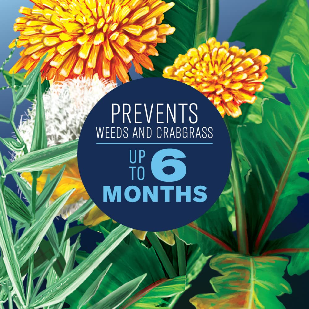 BioAdvanced crabgrass and dandelion weeds being killed for a healthier lawn