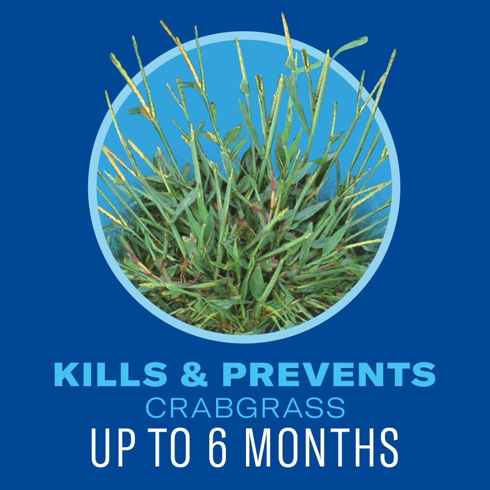Dandelions, clovers, and black medic suppression using BioAdvanced 5 In 1