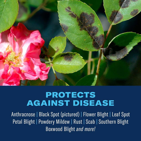 BioAdvanced Disease Control label on container highlights disease protection.