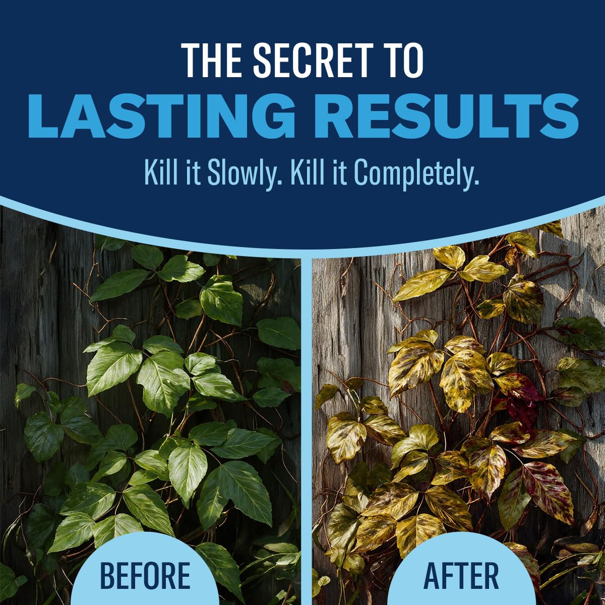 BioAdvanced Extended Control Brush Killer stump treatment showing root-focused action