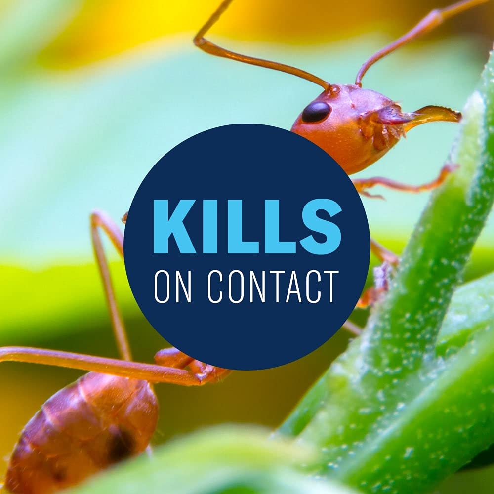 BioAdvanced fire-ant killer lawn action demonstrates targeted ant control.