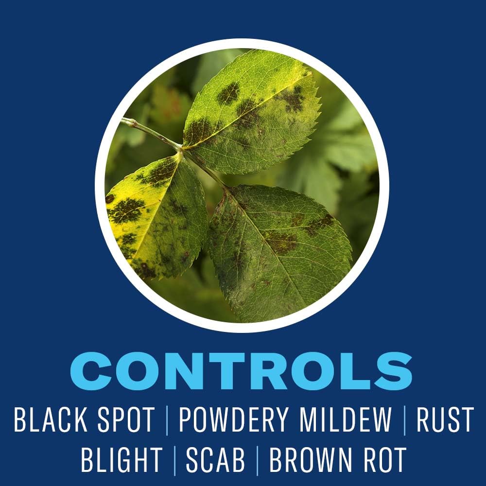 BioAdvanced fruit tree spray applied on trees supports healthy foliage and fruit.