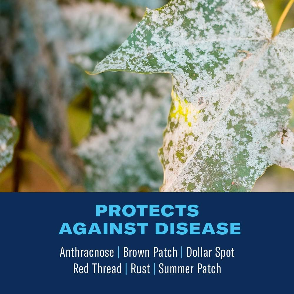 Spraying BioAdvanced Fungus Control for Lawns on a healthy lawn