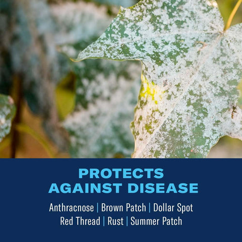 Spraying BioAdvanced Fungus Control for Lawns on a healthy lawn