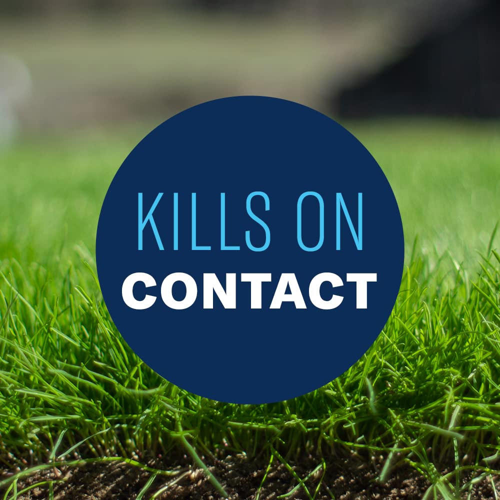 BioAdvanced All-In-One weed treatment on lush lawn, safe for grasses