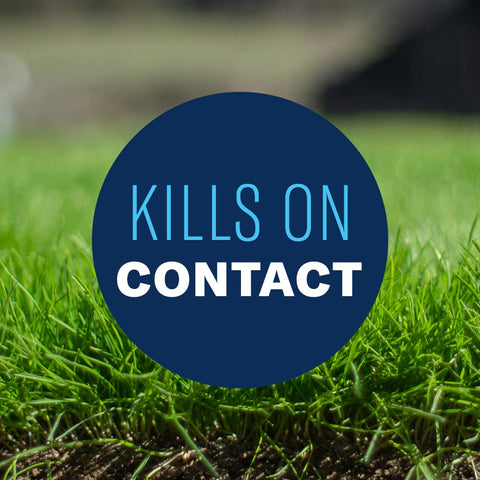 BioAdvanced All-In-One weed treatment on lush lawn, safe for grasses