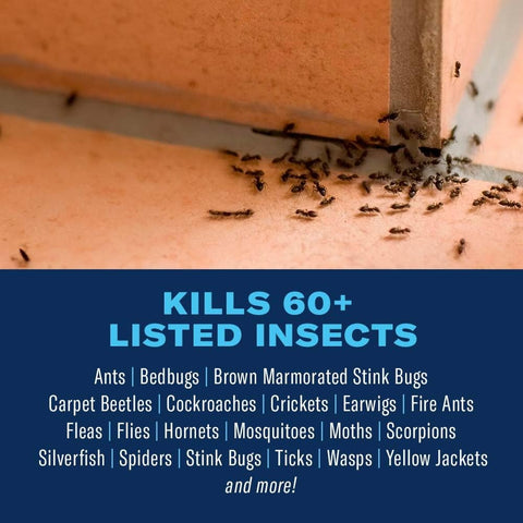 BioAdvanced Home Pest Plus Germ Killer spray action demonstrates quick surface treatment