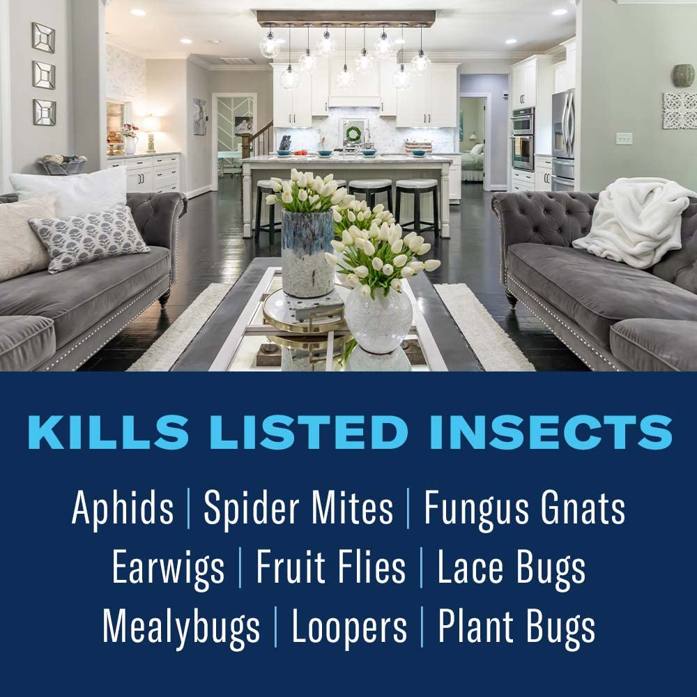 BioAdvanced Houseplant Insect Control spray for easy indoor application.