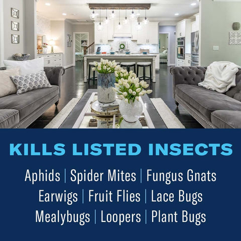 BioAdvanced Houseplant Insect Control spray for easy indoor application.