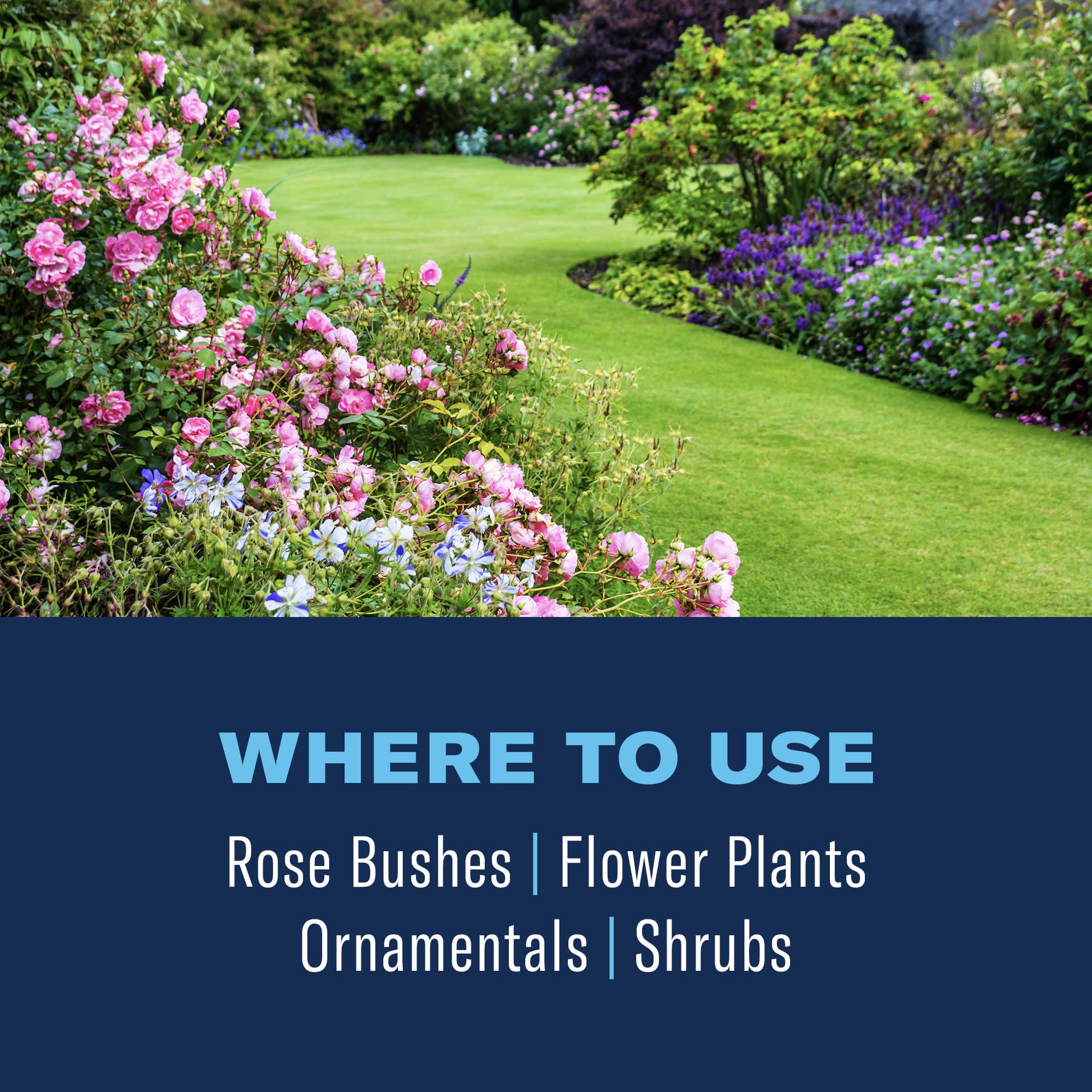 BioAdvanced targets Japanese beetles and aphids on outdoor plants.