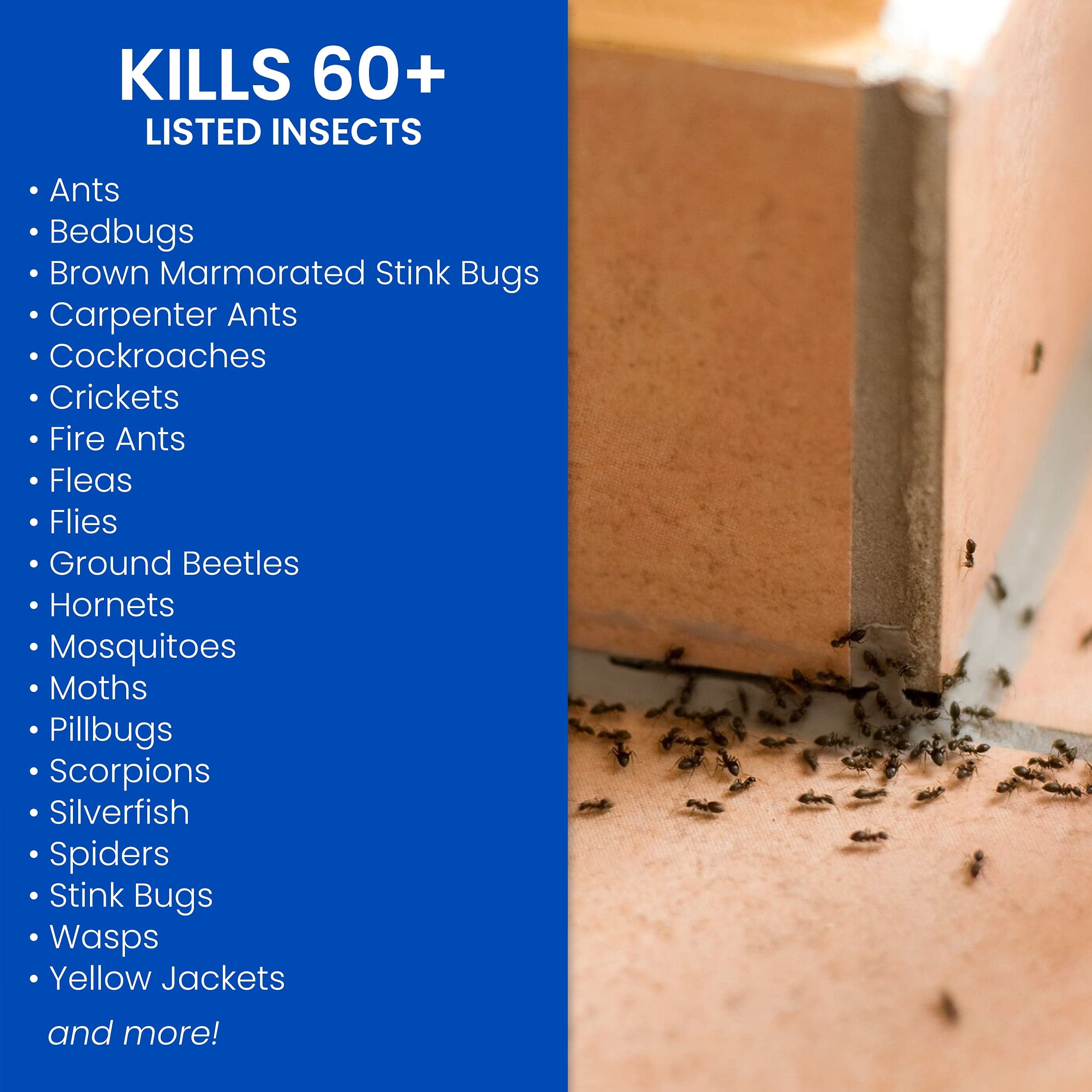 BioAdvanced kills 60+ pests indoors in cracks and crevices
