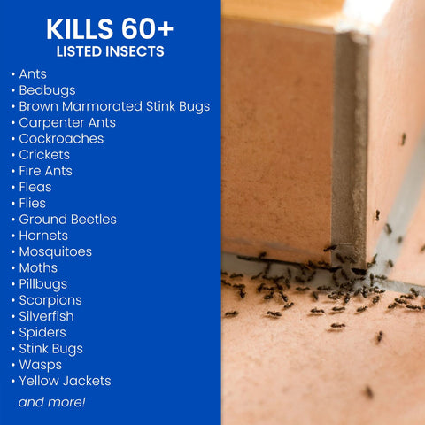 BioAdvanced kills 60+ pests indoors in cracks and crevices