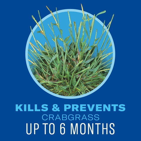 Lawn greens and feeds promote thicker, healthier turf with BioAdvanced.
